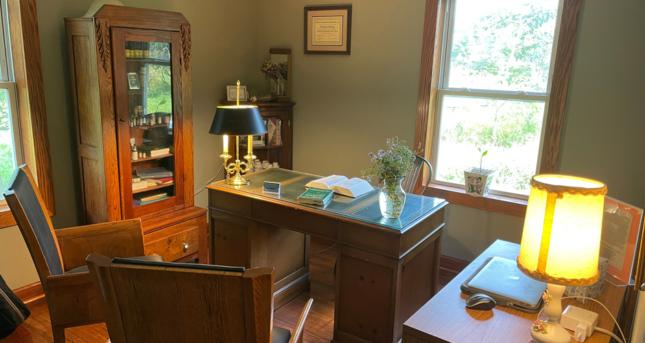 Michelle S Fielding, Cirtified Classical Homeopath office